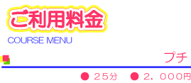 プチコース 25分 2,500円